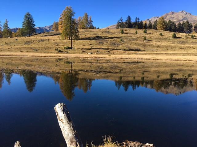 Chasa Mundin Appartement Scuol Buitenkant foto
